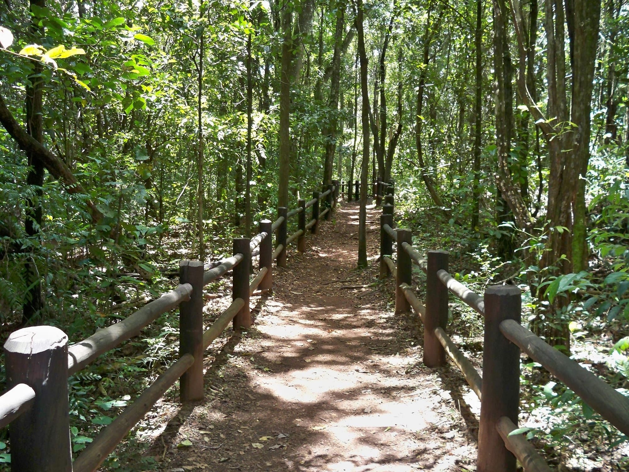 trilha_parque_nacional_de_brasilia-1830502